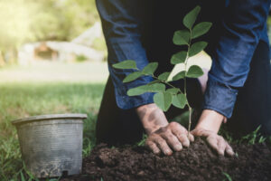 Landcare calls for plan input