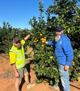 Chislett Farms use bio-stimulants as a gamechanger