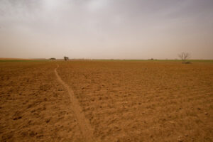 Feedback call on drought funding