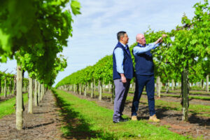 New leaders in dried fruits industry