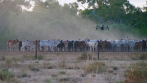 Drones capturing key insights