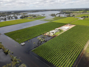 Flood recovery grants still open