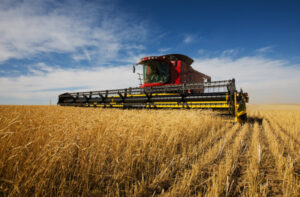 Harvesting the power of progress in the Mallee