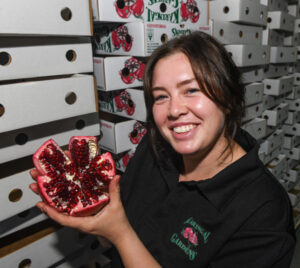 Tricky harvest a sweet success