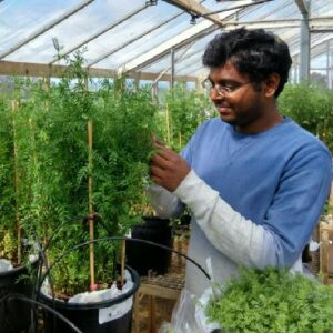Latest crop disease guides now online