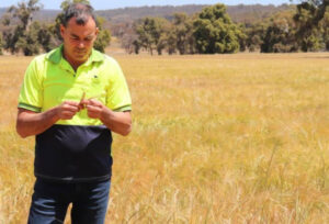 Grain on the go needs road fix