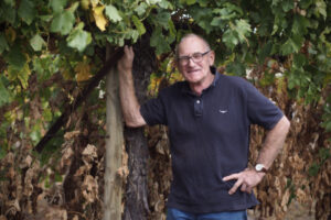 Record of grape innovation