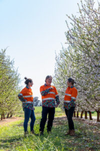 Almond industry growing on the world stage