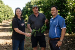 Bright outlook for citrus as winter arrives
