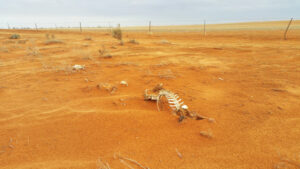 Official warning: El Nio declared