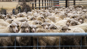 Help to join on-farm emissions project