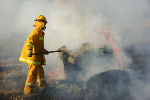 FIre risk alert over wet hay
