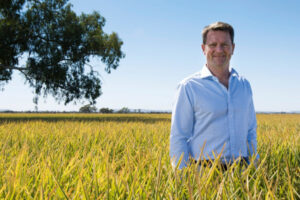 Rice results show strength