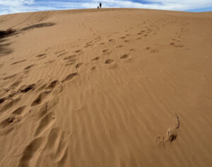 New local amateur photo competition with cash prizes