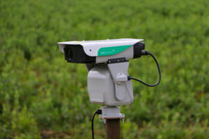 Bird flu battle goes high tech