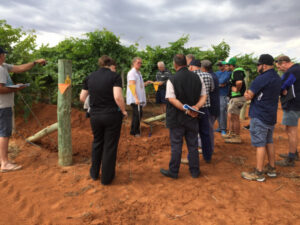 Daily irrigation data to aid growers