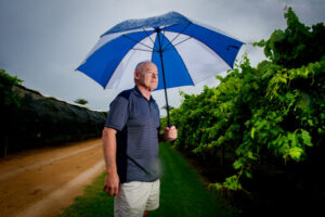 Table grape season ends on a high