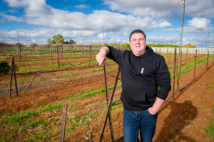 Making region industrial hemp capital of Victoria