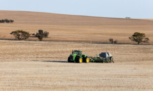 BCG says theres dough in dry sowing
