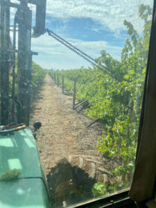 Harvest is rolling and so is the wildlife