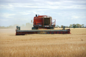 Harvest looking good if rain stays away