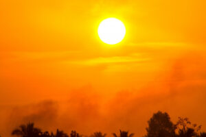 Managing carbon made easier
