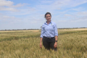 Ploughing through the cropping-information overload