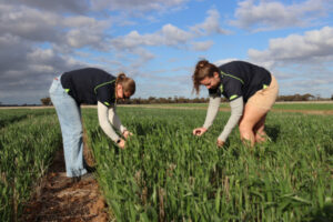 Showing seeds for the future