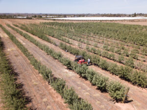 SmartFarm to showcase careers