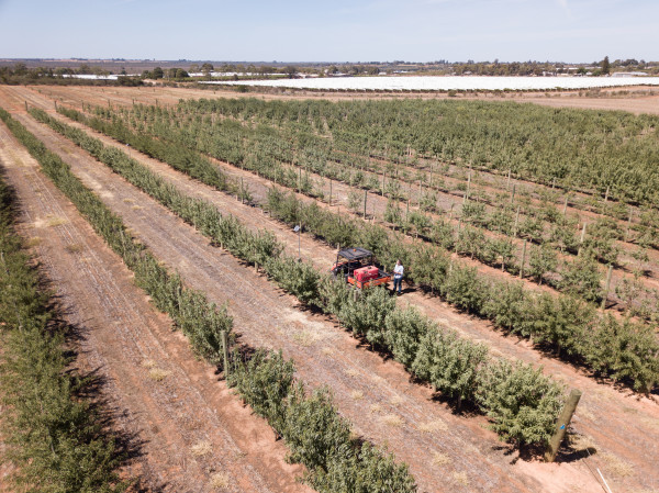 SmartFarm to showcase careers