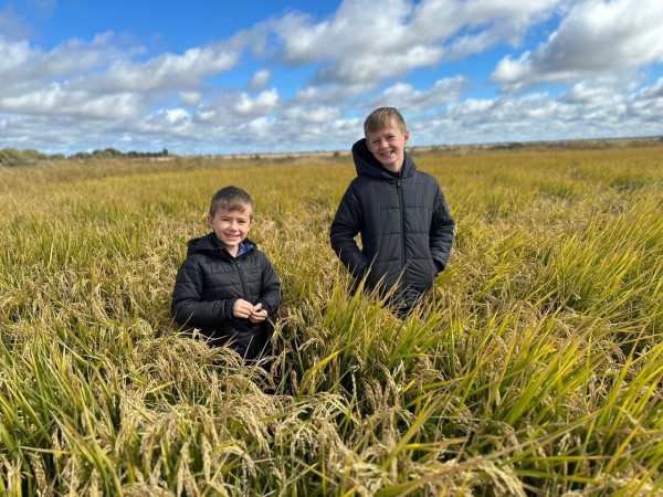 Rice farming runs in the family