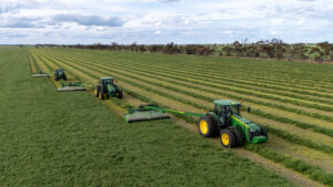 Promising outlook for Mallee hay season
